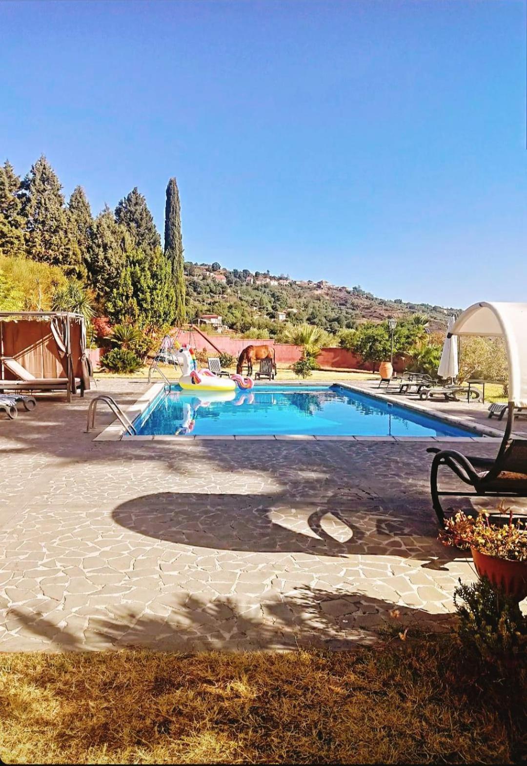 Villa Alessio - Case Vacanza Con Piscina Sull'Etna Puntalazzo Buitenkant foto